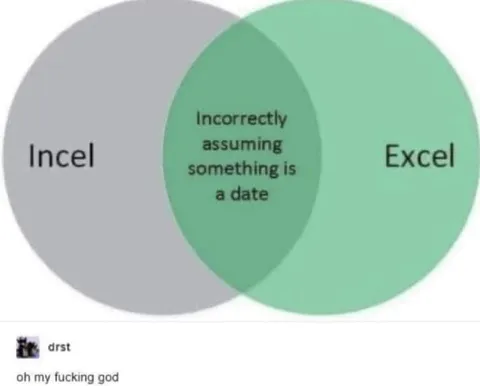 Incel Excel Date Mistake