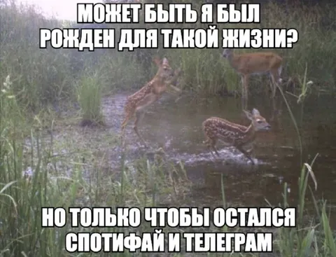 Рождён для такой жизни