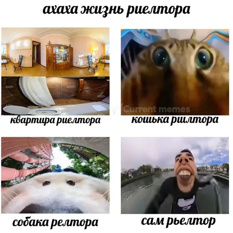 Жизнь риелтора в рыбьем глазу