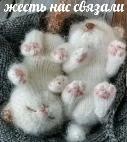 Жесть, нас связали