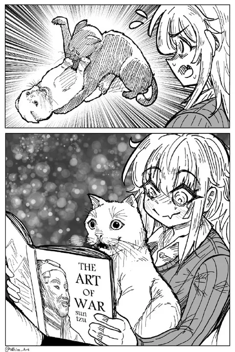 Cat Studies The Art of War