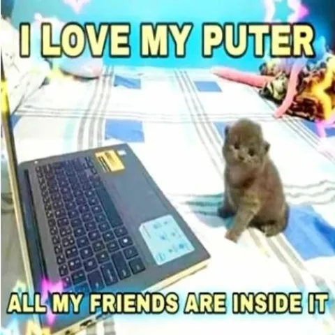 Hamster Loves His Computer