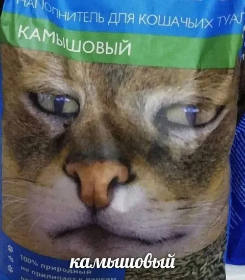 Кот на упаковке камышового наполнителя