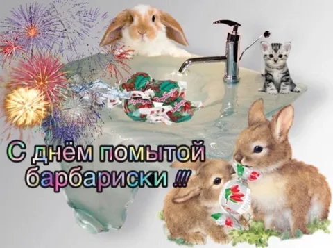 С днём помытой барабариски