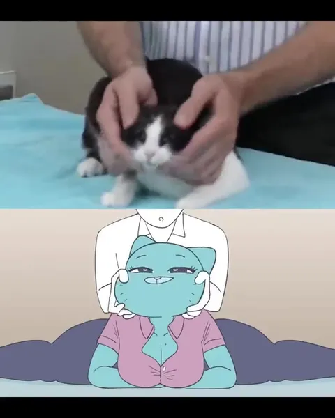 Просто сожми этого кота