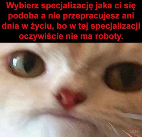 Specjalizacja bez pracy