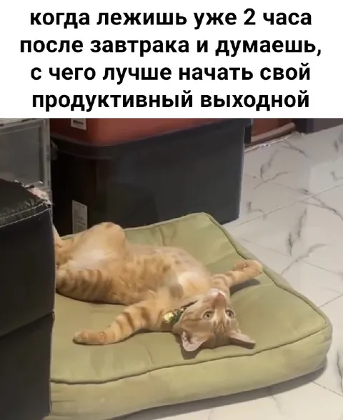 Продуктивный выходной начинается с отдыха