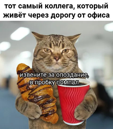 Коллега, живущий через дорогу