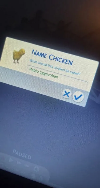 Pablo Eggscobar Chicken Name
