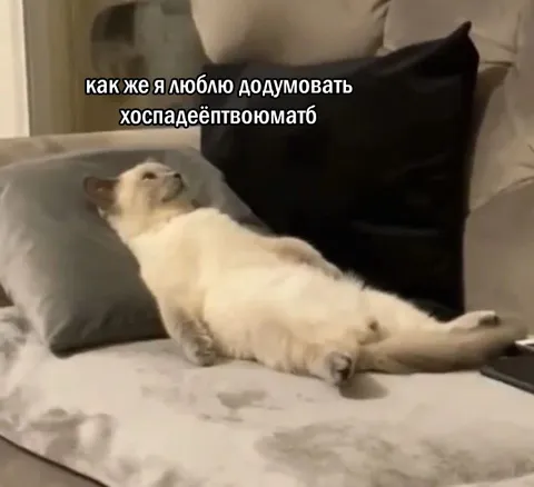 Кот додумывает за всех