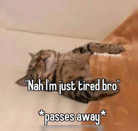Nah I'm Just Tired Bro