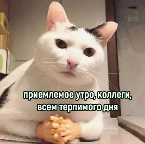 Приемлемое утро коллеги