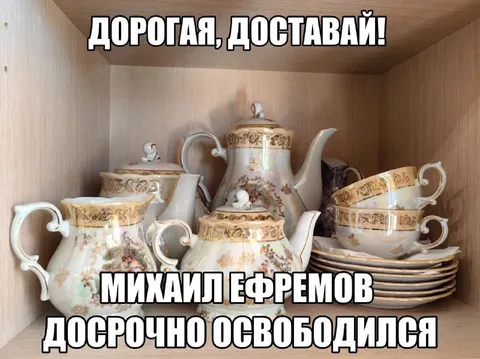 Михаил Ефремов досрочно освободился