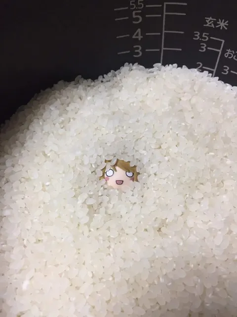 Крошечная фигурка в рисе