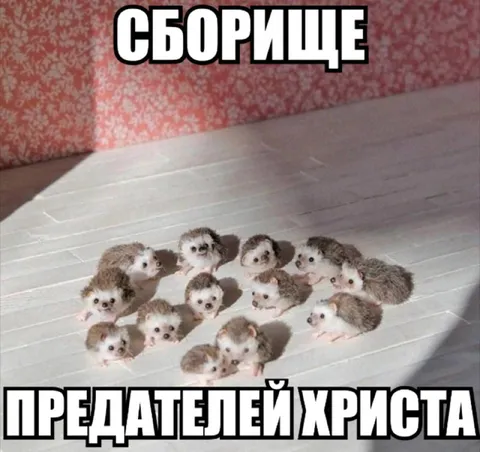 Сборище предателей Христа