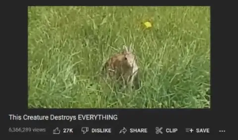 Creature Destroys Everything