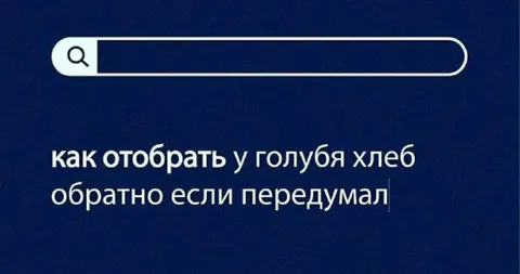 Как вернуть хлеб у голубя