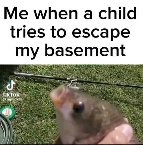 Fish Escapes My Basement