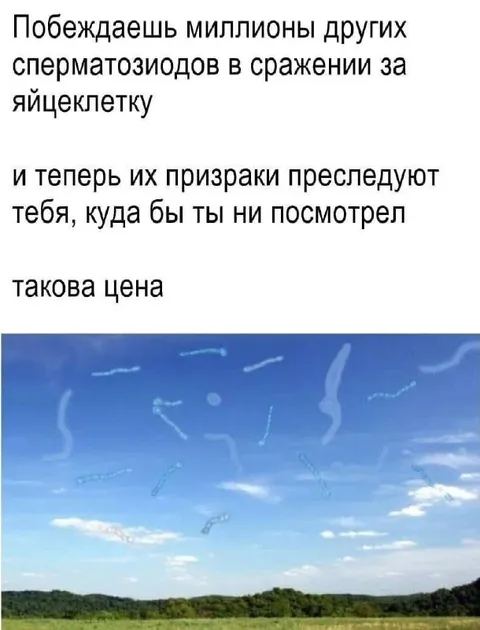 Призраки сперматозоидов преследуют
