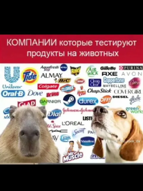 Компании, тестирующие продукты на животных