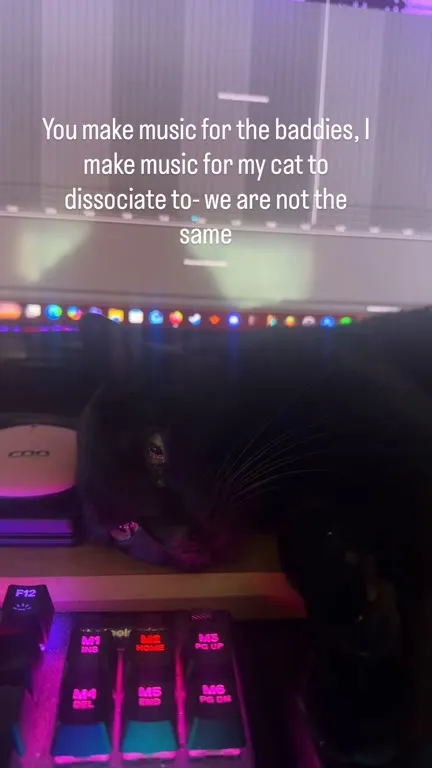 Music for My Cat to Dissociate