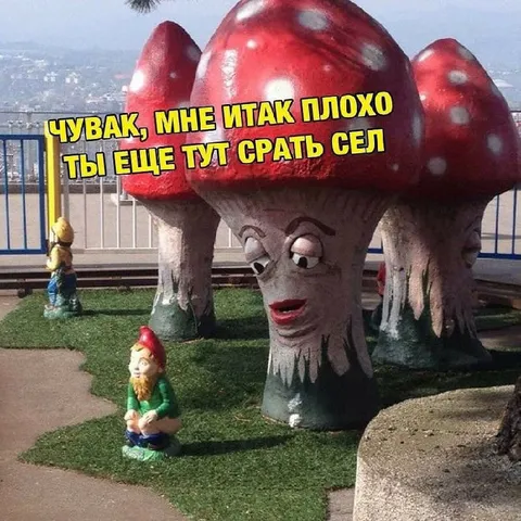 Гриб жалуется на соседа