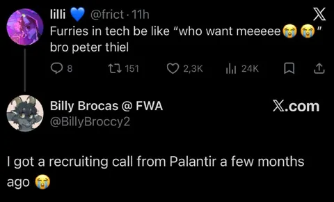 Furries Recruiting for Palantir