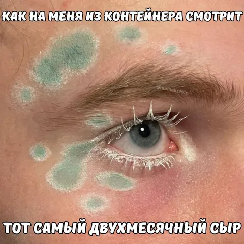 Взгляд на двухмесячный сыр