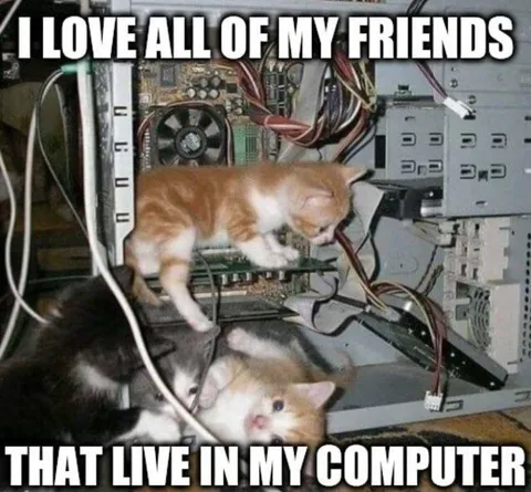 Cats Living in My Computer