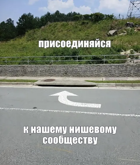 Присоединяйся к нишевому сообществу