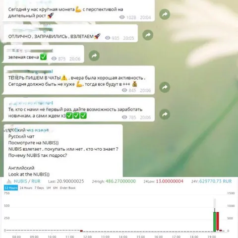 NUBIS взлетает после пампа