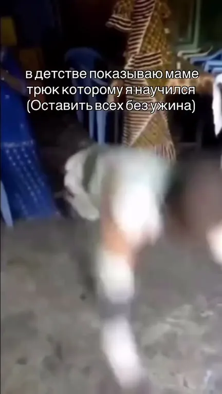 Трюк оставил всех без ужина