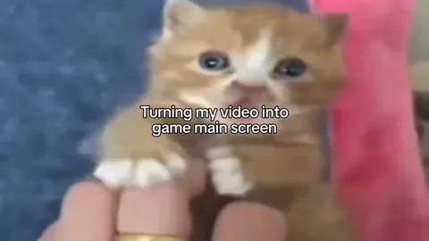 Turning a Cat Video Into a Game