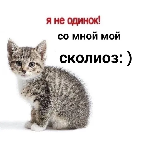 Я не одинок со мной мой сколиоз