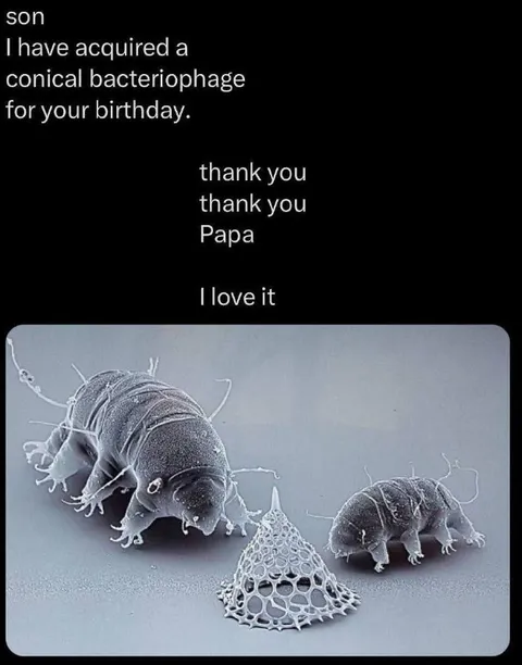 The Perfect Bacteriophage Gift