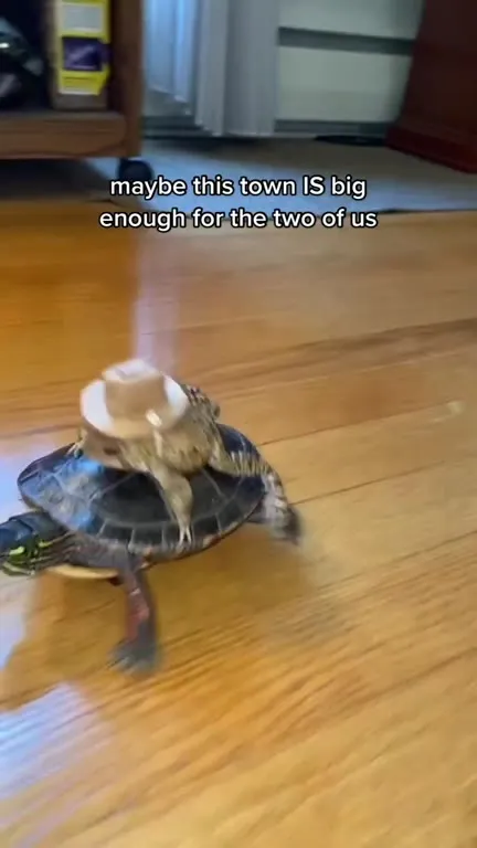 Toad Rides Turtle Through Town
