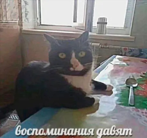 Воспоминания давят