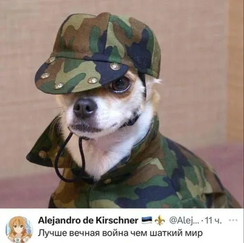 Собака за вечную войну