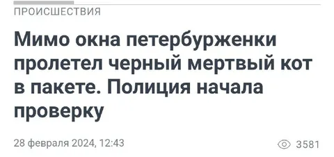 Черный мертвый кот в пакете