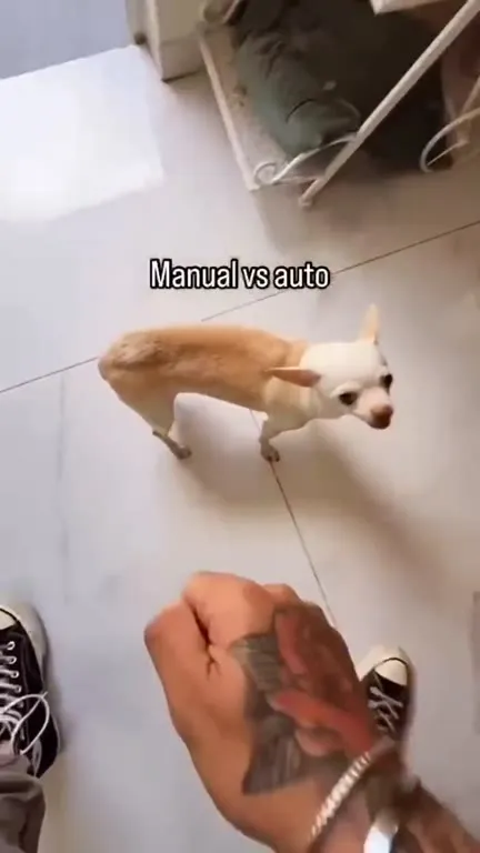 Manual vs auto