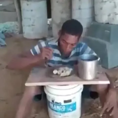 Собака рушит обед