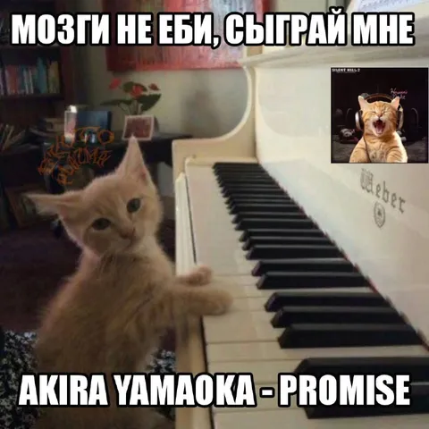 Мозги не еби, сыграй мне