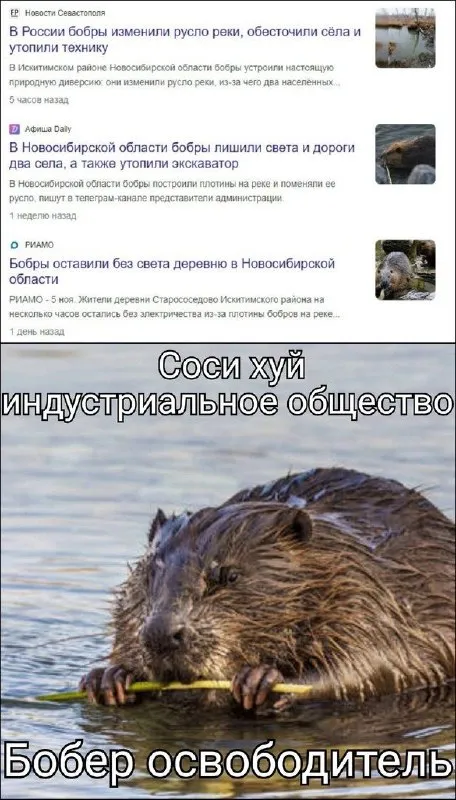 Бобер против индустриального общества