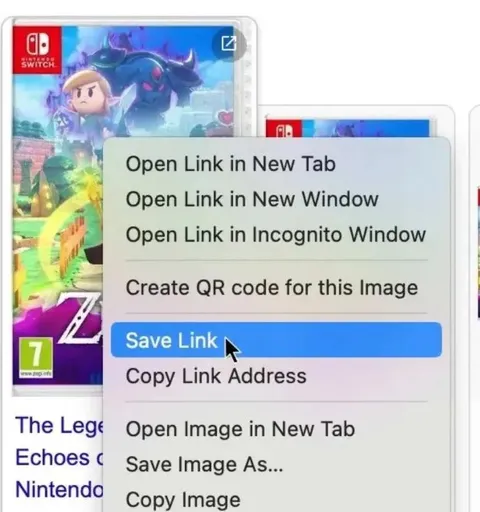 Save Link Instead of Image