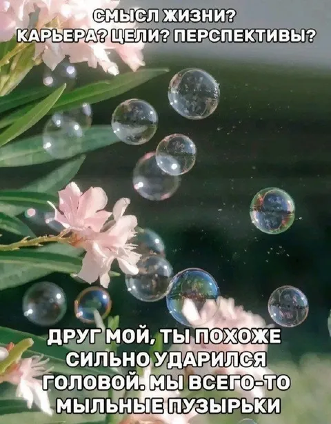 Смысл жизни и мыльные пузыри