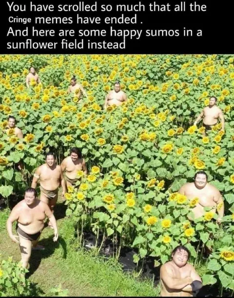 Happy Sumo Wrestlers in Sunflowers
