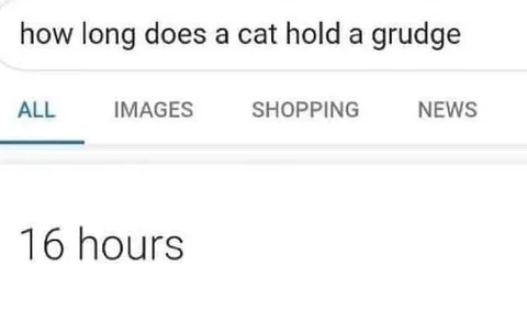 Cat Holds a Grudge for 16 Hours