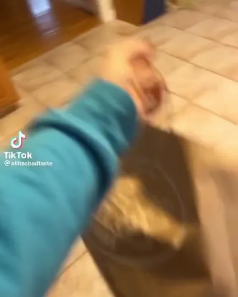 The Bag Comes Back