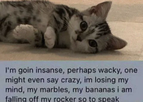 I'm Losing My Marbles