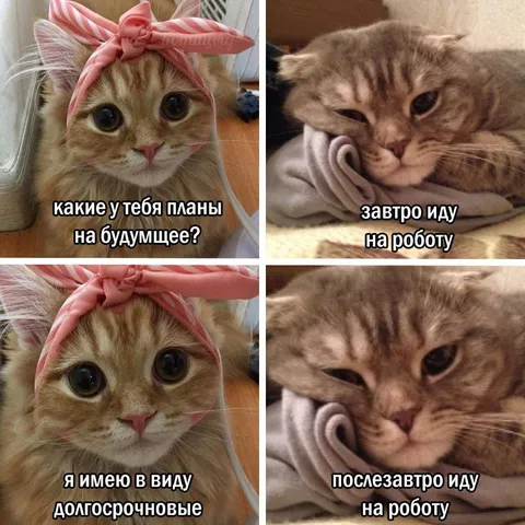 Планы на будущее и работа